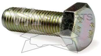 Šroub M10x1,25x30